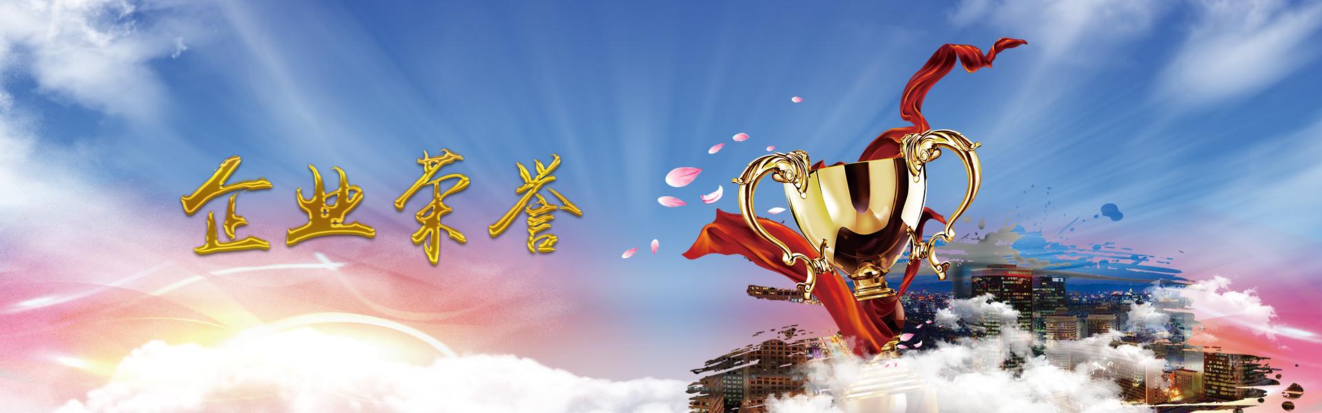 資質(zhì)榮譽(yù) - 門戶網(wǎng)站